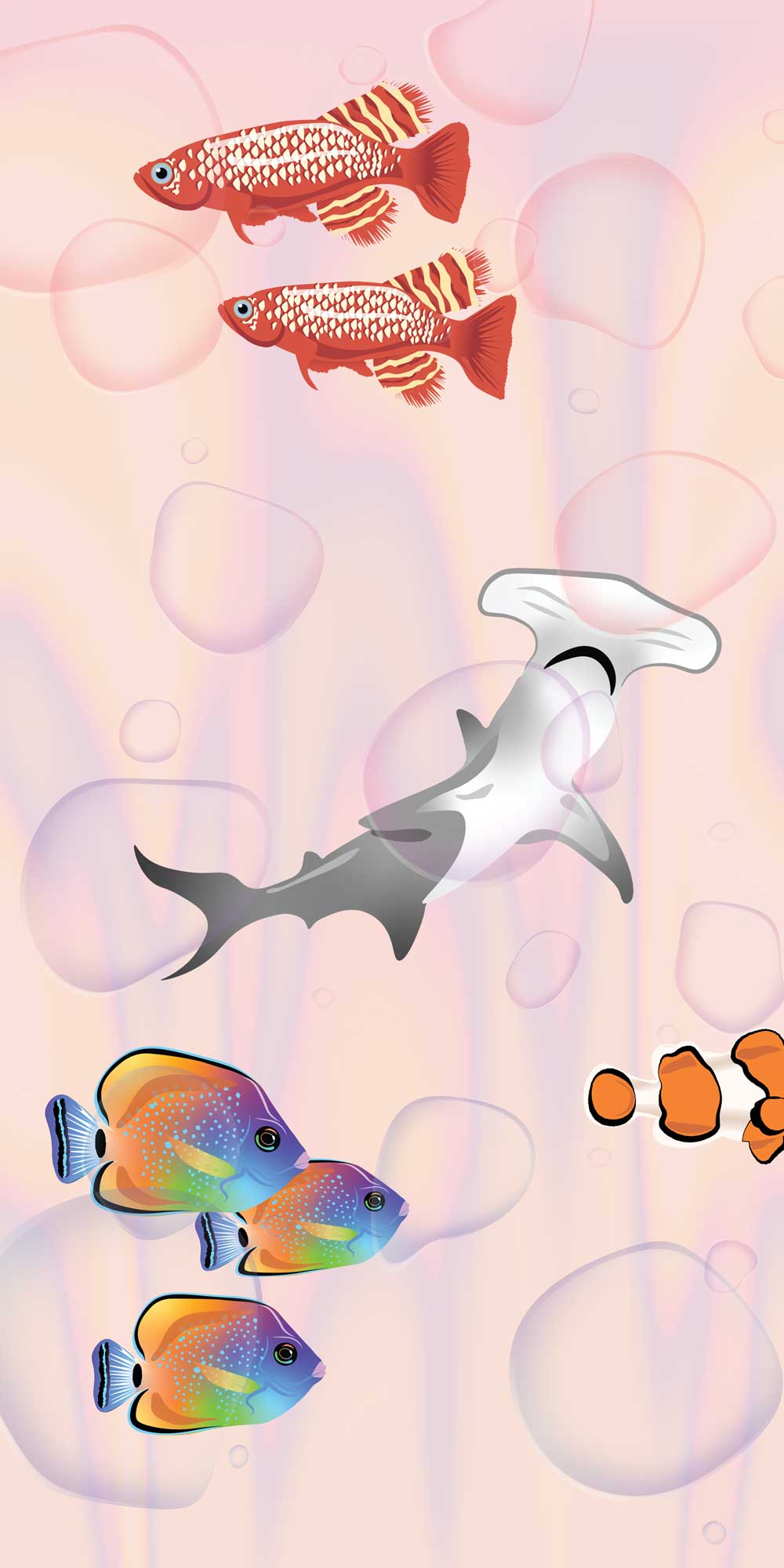 Illustrated fish and bubbles in front of pastel swirl background